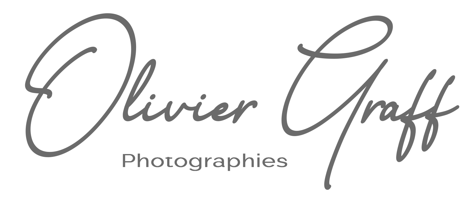 Logo bannière
